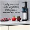 Picture of PANA SLOW JUICER MJ-L500 BLACK